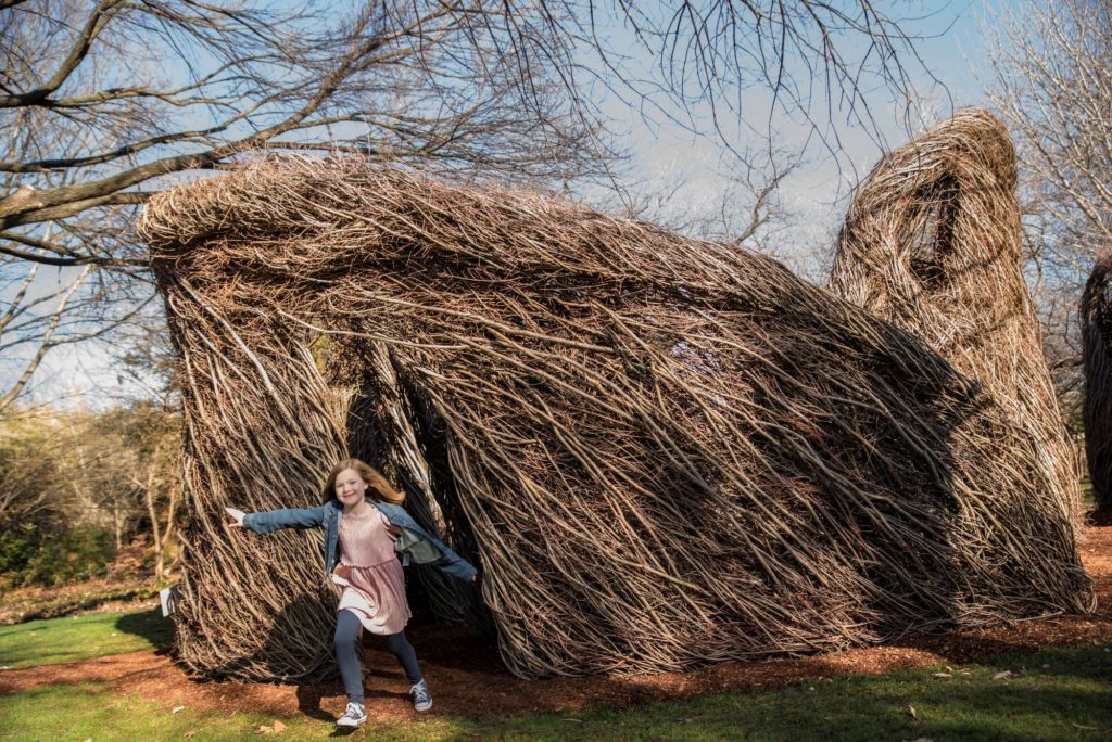 Three for One Now at the Fort Worth Botanic Garden - TLM