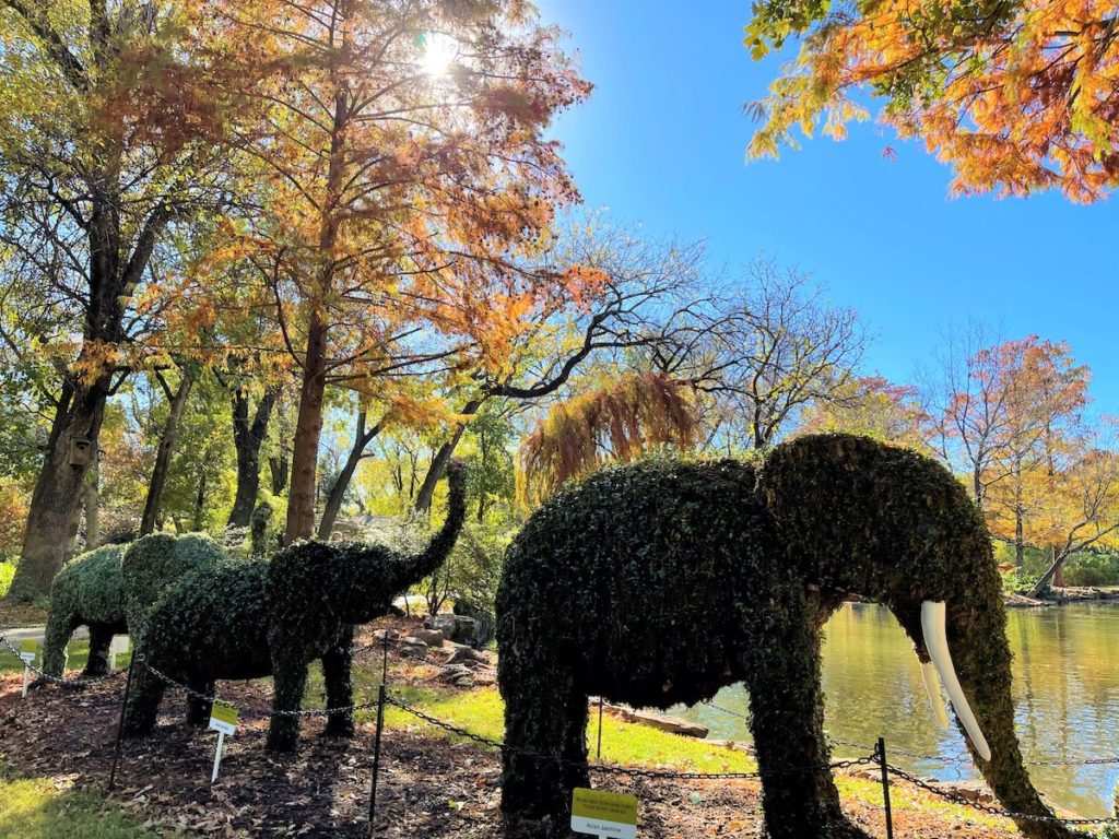 Three for One Now at the Fort Worth Botanic Garden - TLM