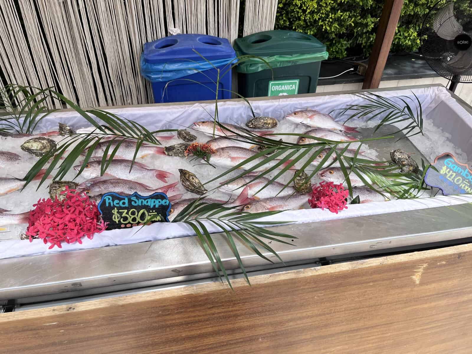 Fresh fish on ice