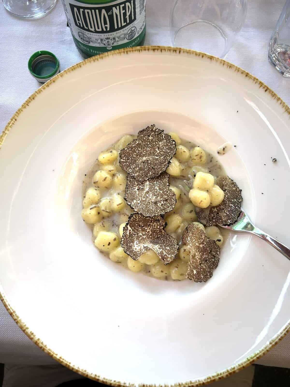 Fresh gnocchi with black truffle shavings on elegant white plate with gold rim.