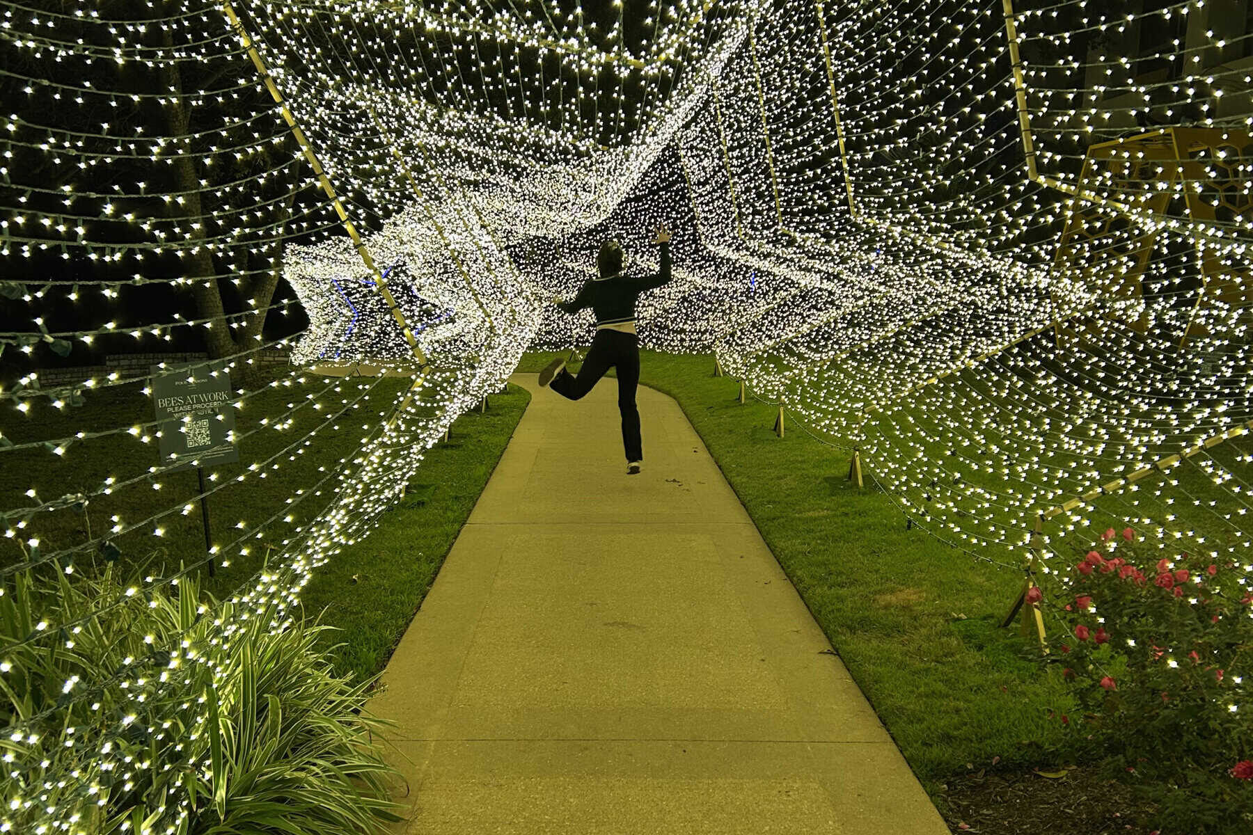 リュージュ Four Seasons Ride Into Christmas Amazon.com: Hummel