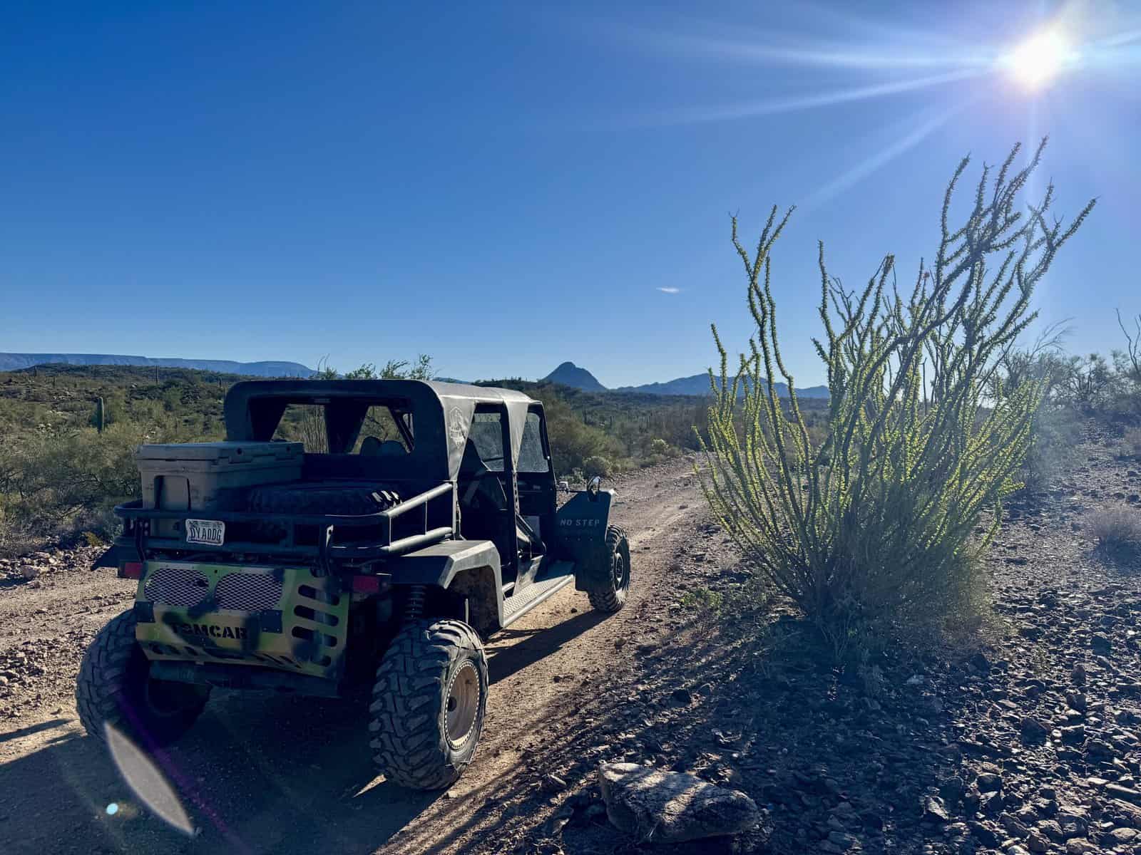 ATV parked by a cactus in the sunshine.