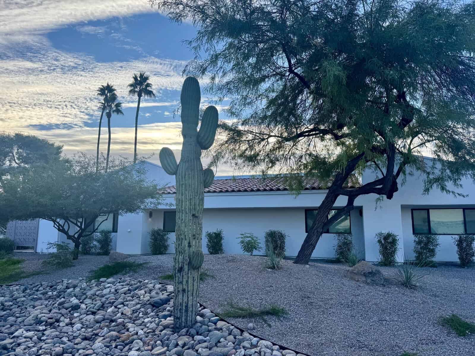 Cacti and palm trees frame a white building.
