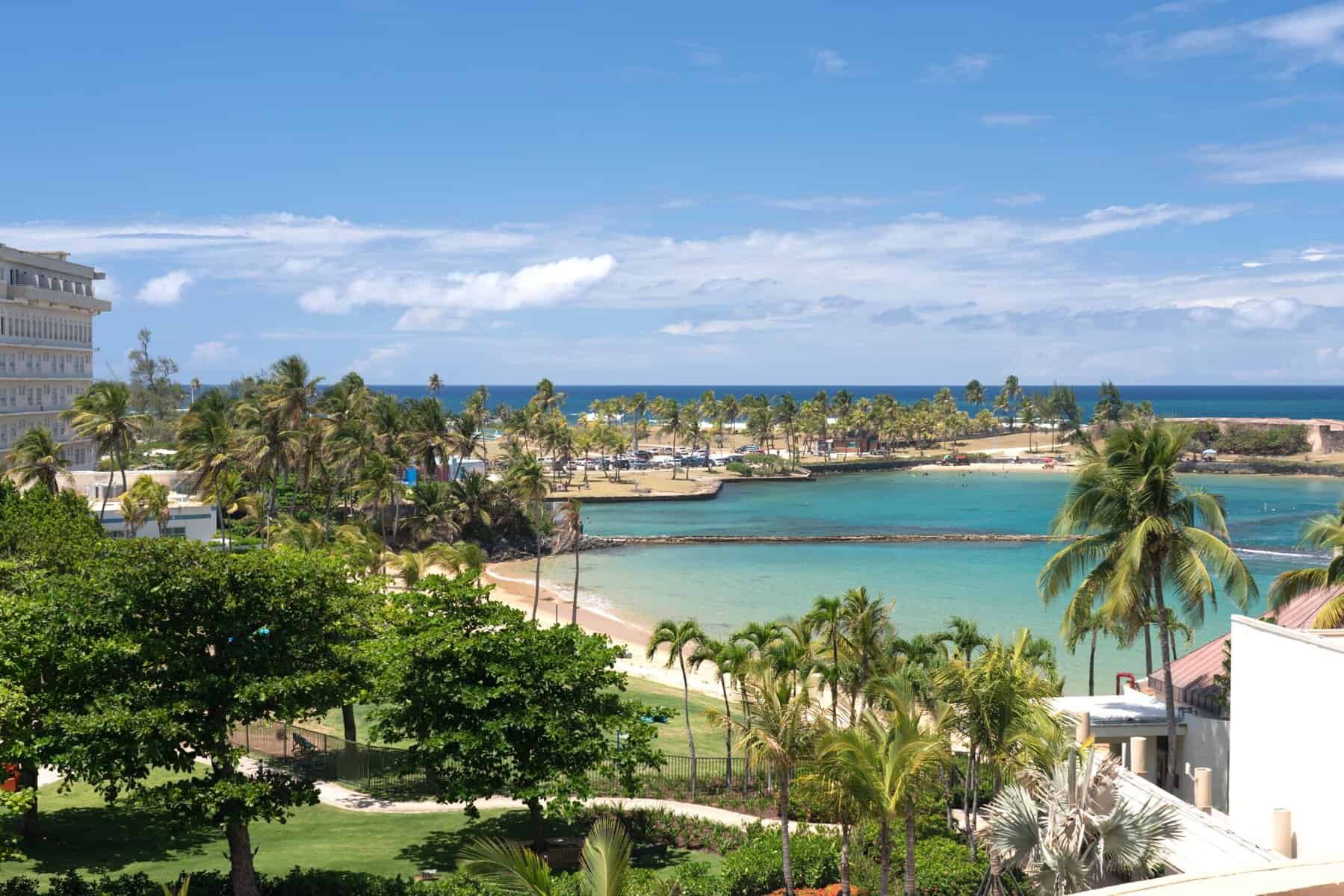 Turquoise water and sand surrounded by palm trees