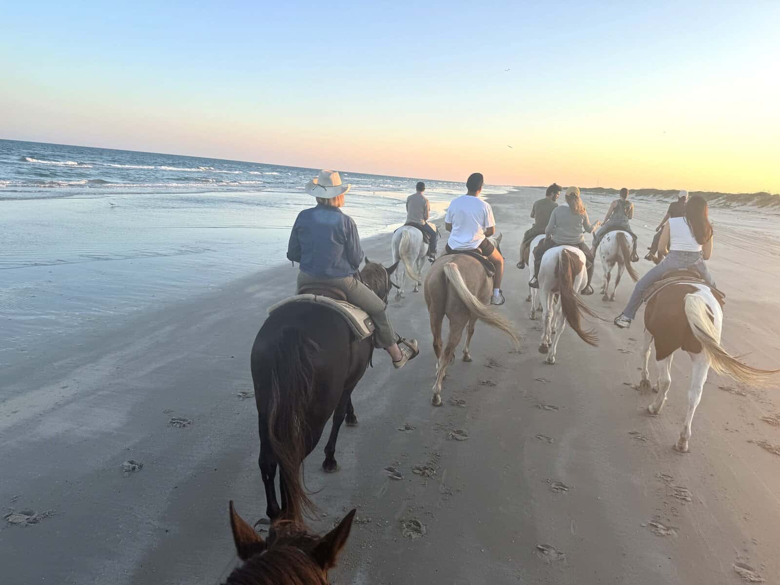 A group of travelers ride horses along the beach.