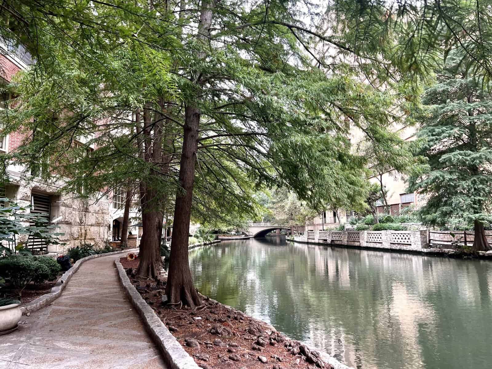 sidewalk lined with trees bordering green river