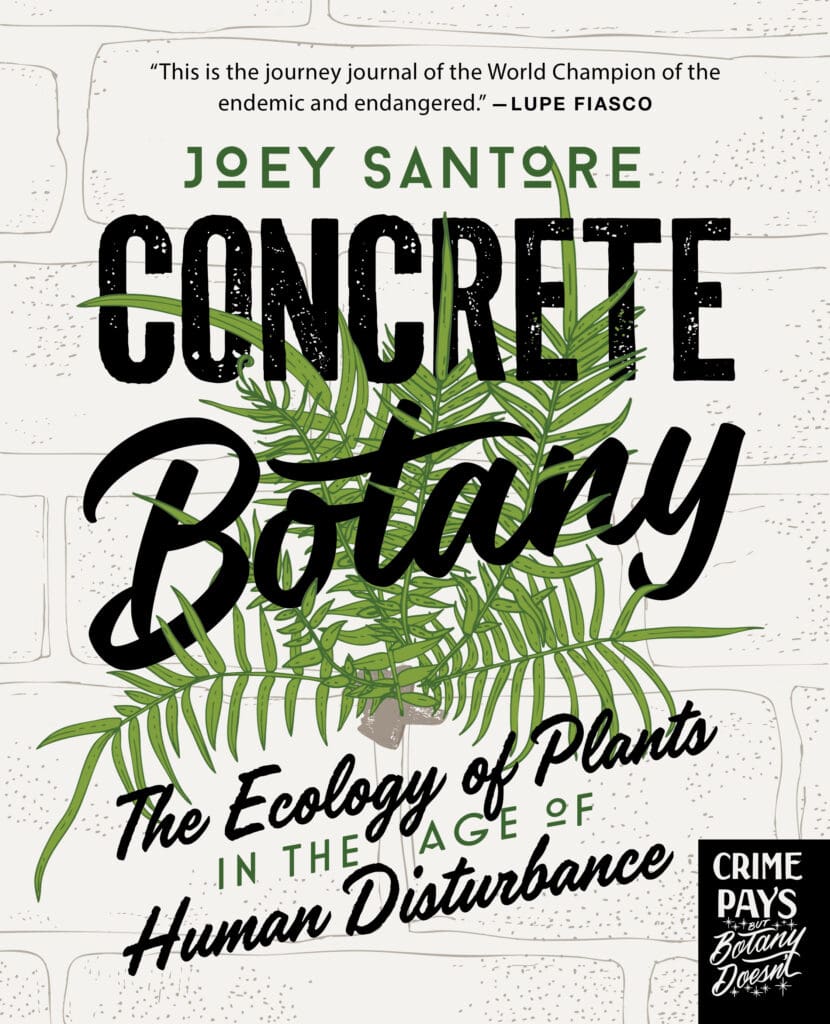 concrete botany cover photo