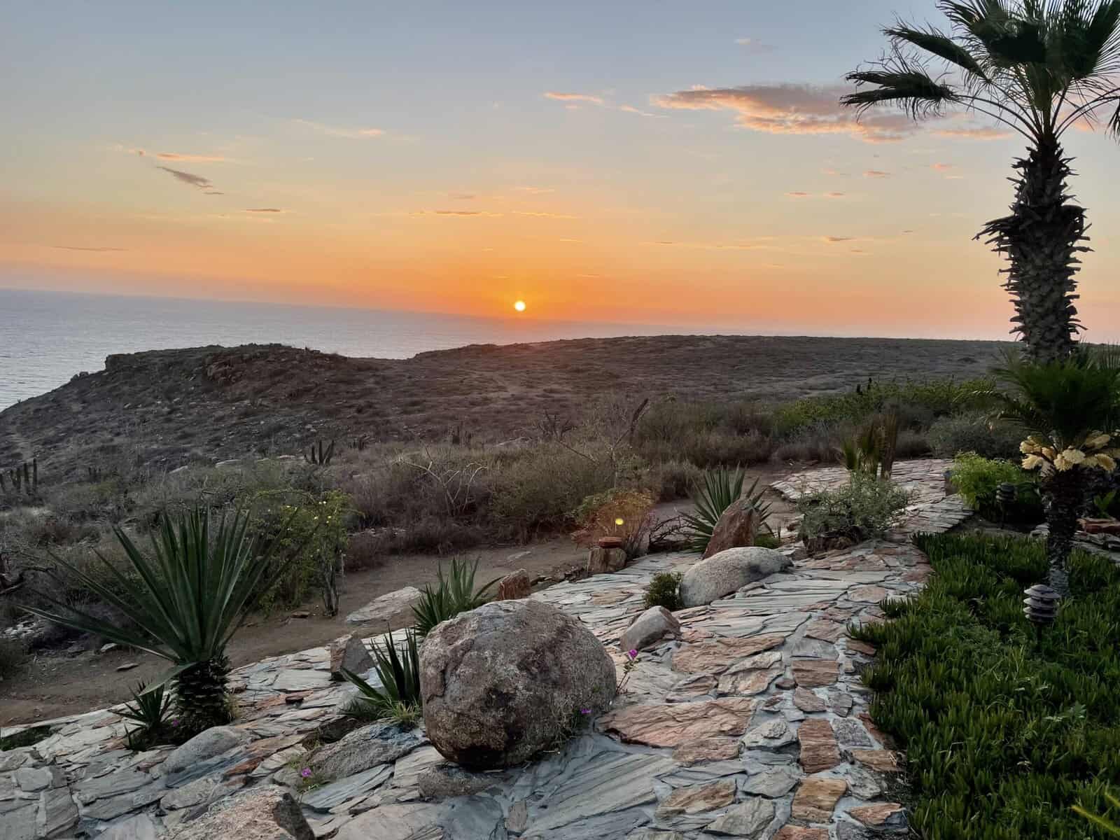 Palm trees in the foreground and ocean in the background with the sun setting over the water