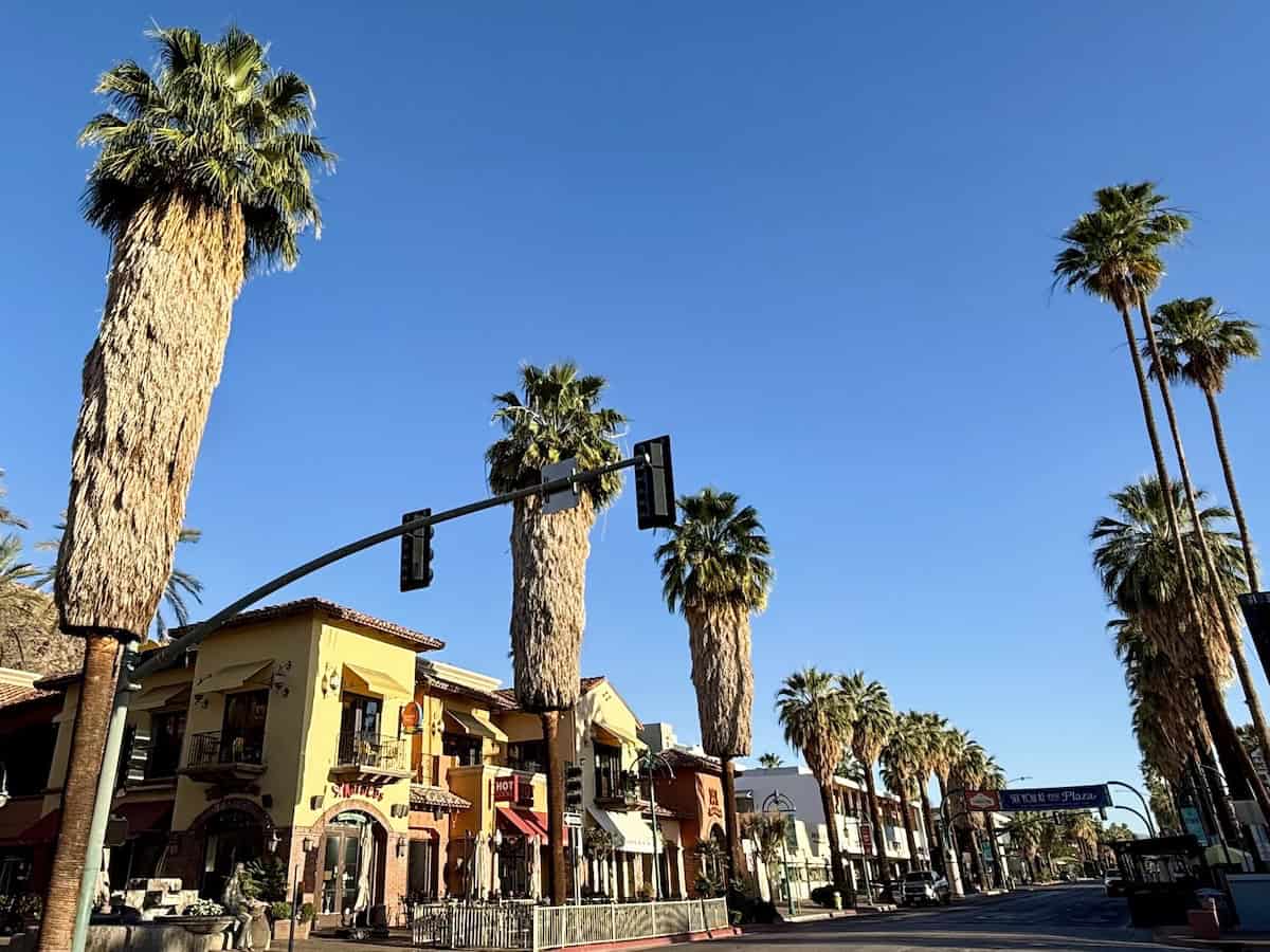 Palm Canyon Drive in Palm Springs with palm trees and storefronts