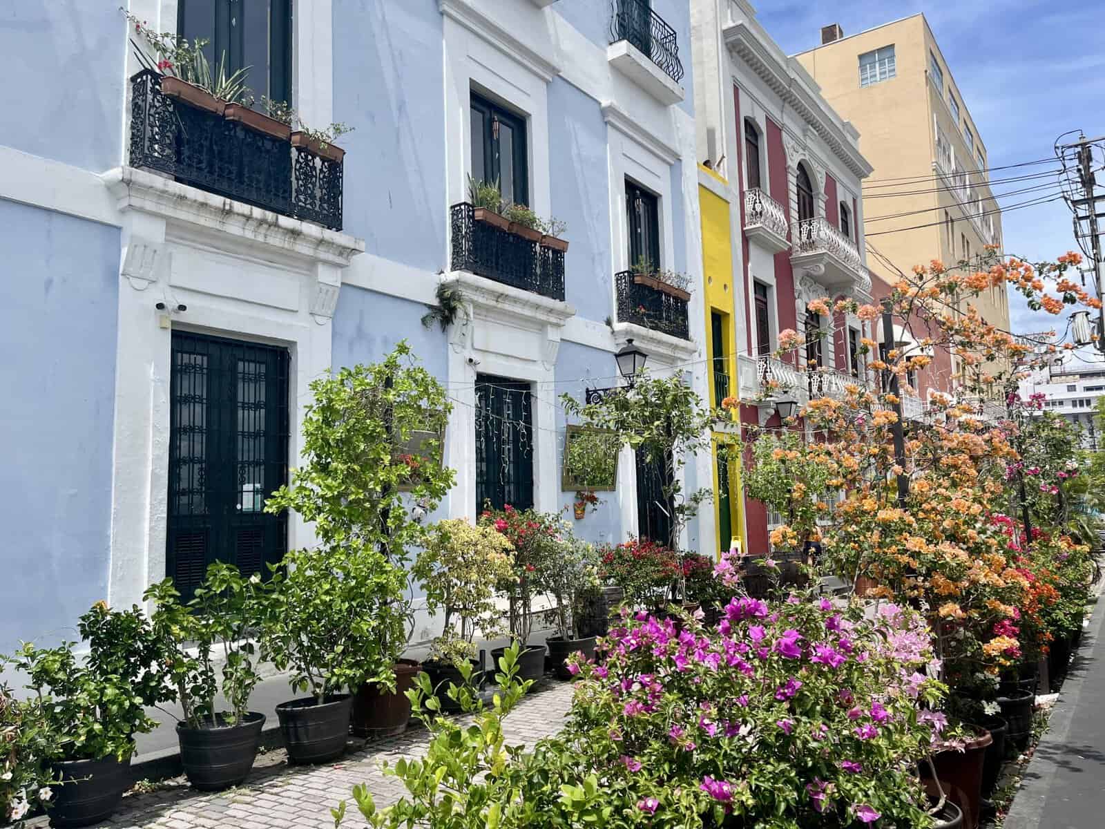 A row of colorful colonial buildings in Old San Juan, Puerto Rico, with a powder blue facade, yellow and red buildings beside it, wrought-iron balconies with potted plants, and a sidewalk lined with bougainvillea and other flowering plants in pots.
