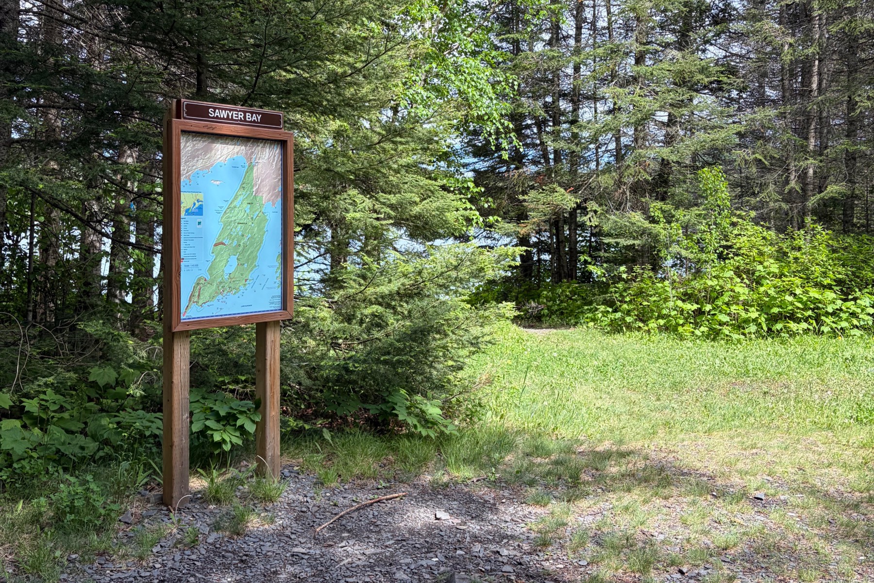 A wooden trail sign and map at the edge of a pine forest.